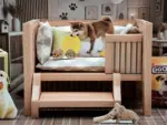 狗狗玩具禮盒 5.webp