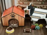 雪橇犬狗狗衣服禮盒 4.webp