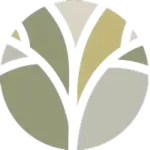 生命禮儀icon